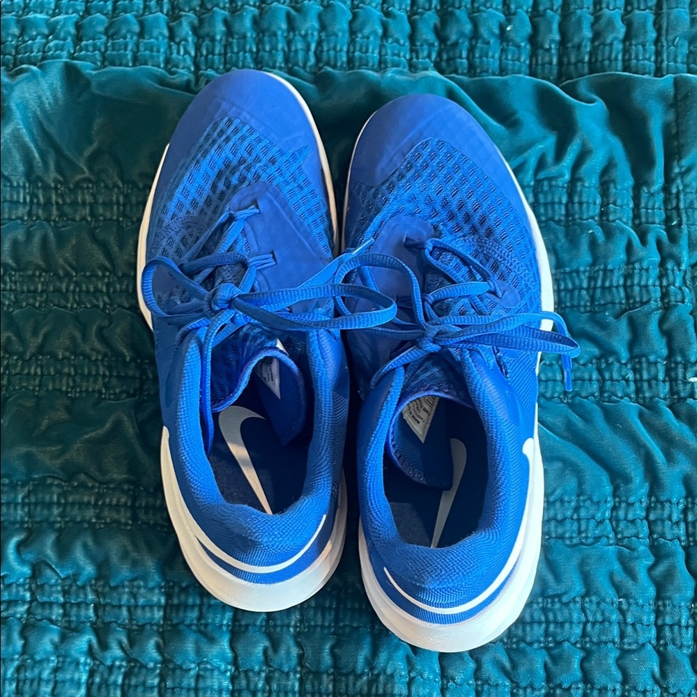 Nike Blue and White Athletic Shoes